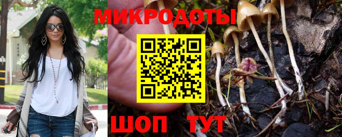 Псилоцибиновые грибы Psilocybine cubensis  Вход с VPN  Галлюциногенные грибы MAGIC MUSHROOMS  где можно купить   Мариинск 